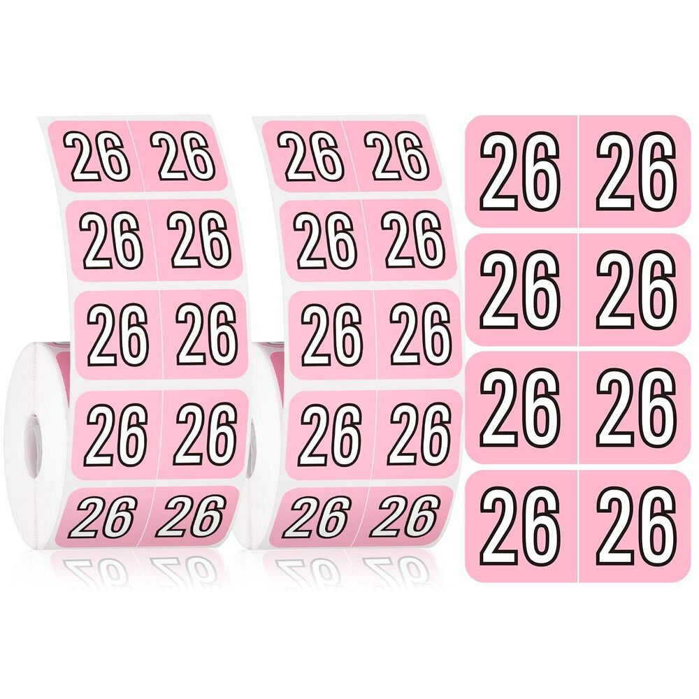6307 1000 Pieces 2026 Year Stickers File Folder Year Labels Rectangle Coded